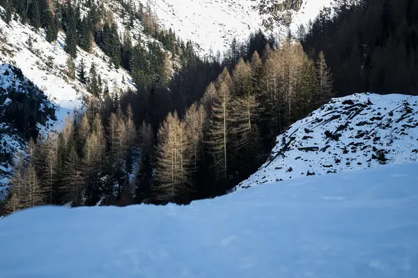 ヴァレ アウリナ渓谷の雪景観 — ストック写真