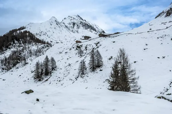 Снежный Пейзаж Долины Валле Аурина — стоковое фото