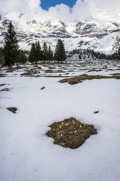 卡宁山和蒙塔西奥的春雪 — 图库照片
