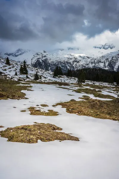 Canin Montasio Dağlarında Bahar Karı — Stok fotoğraf