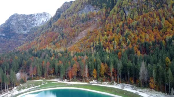Podzim Sella Nevea Výbuch Barev Lesích Juliánských Alp — Stock video