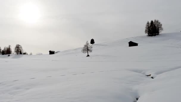 Escursione Sulla Neve Panorami Mozzafiato Sulle Dolomiti — Video Stock