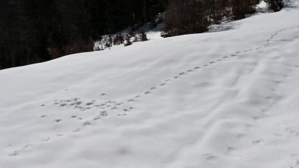 Schöne Landschaft Der Dolomiten Bei Frost Und Schnee — Stockvideo