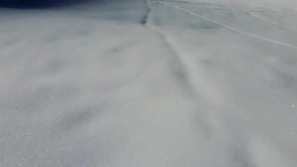 Riofreddo Valley Shora Tarvisiano Zimním Oblečení Mezi Sněhem Mrazem — Stock video