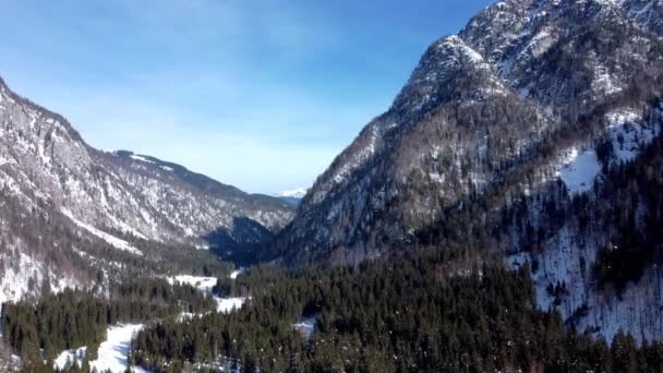 Магія Долини Ріофредо Районі Тарвізіо Дика Природа Взимку — стокове відео