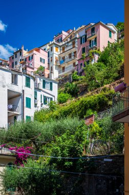 Manarola köyünün denize bakan güzel manzarası. İtalya 