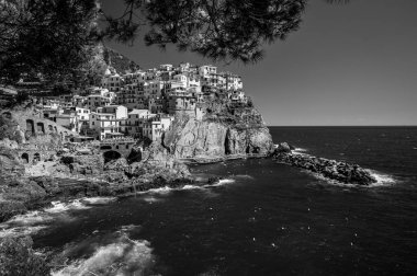 Kayalık sahil ve Manarola köyünün denize bakan güzel manzarası. Cinque Terre                    