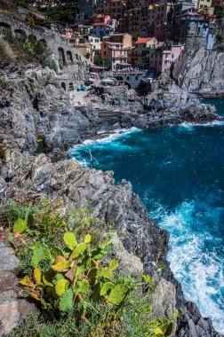 Kayalık sahil ve Manarola köyünün denize bakan güzel manzarası. Cinque Terre                    