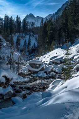 Riofreddo Vadisi. Tarvisio bölgesindeki karlı arazinin büyüsü