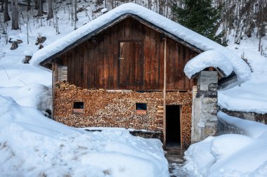 Riofreddo Vadisi. Tarvisio bölgesindeki karlı arazinin büyüsü