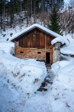 Riofreddo Vadisi. Tarvisio bölgesindeki karlı arazinin büyüsü