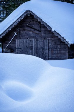 Riofreddo Vadisi. Tarvisio bölgesindeki karlı arazinin büyüsü