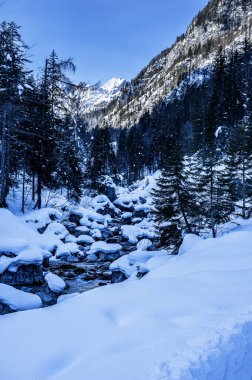 Riofreddo Vadisi. Tarvisio bölgesindeki karlı arazinin büyüsü