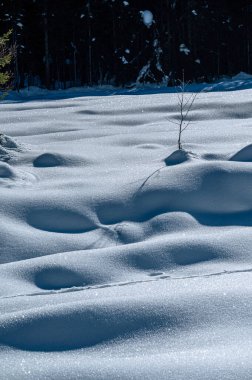 Riofreddo Vadisi. Tarvisio bölgesindeki karlı arazinin büyüsü