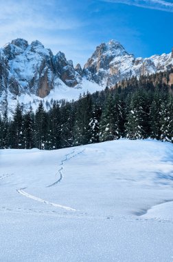 Riofreddo Vadisi. Tarvisio bölgesindeki karlı arazinin büyüsü