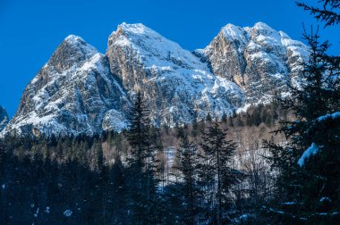 Riofreddo Vadisi. Tarvisio bölgesindeki karlı arazinin büyüsü
