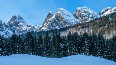 Riofreddo Vadisi. Tarvisio bölgesindeki karlı arazinin büyüsü