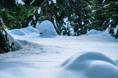 Riofreddo Vadisi. Tarvisio bölgesindeki karlı arazinin büyüsü