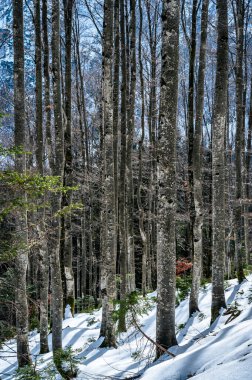 Valbruna vadisinde kar
