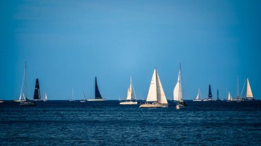 Barcolana Yarışı sırasında Trieste Körfezi.. 