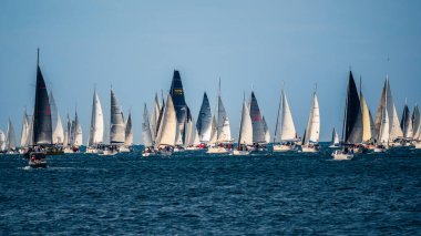 Barcolana Yarışı sırasında Trieste Körfezi.. 