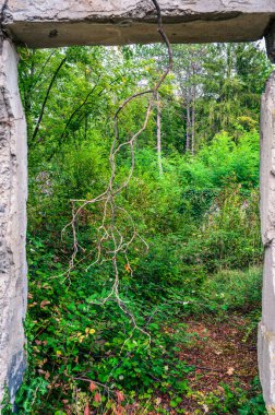 Ancient churches and fortifications on the hill Osoppo