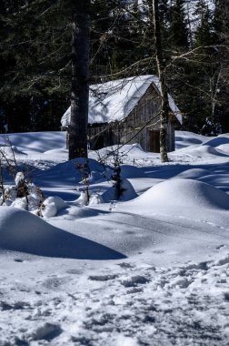 Şiddetli bir kar yağışı sonrasında Tarvisio turizm beldesi