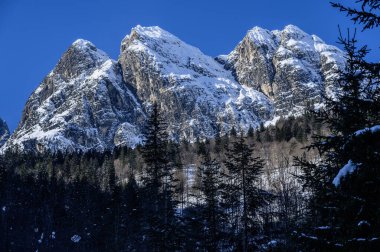 Tarvisio. Kışın Riofreddo Vadisi. Julian Alplerinin eteklerinde