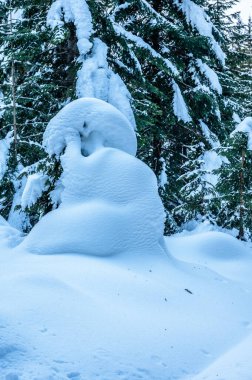 Şiddetli bir kar yağışı sonrasında Tarvisio turizm beldesi