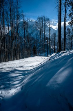 Snow covered hills at winter time in Valbruna, Province of Udine, Italy clipart