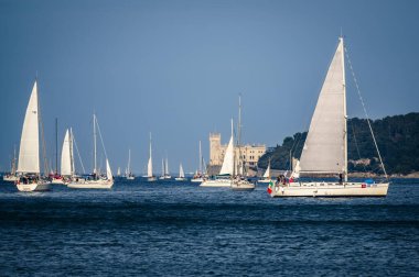 Trieste Uluslararası Regatta. Barcolana Gösterisi