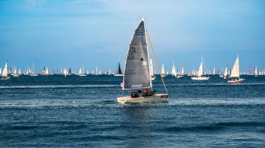 Trieste Uluslararası Regatta. Barcolana Gösterisi
