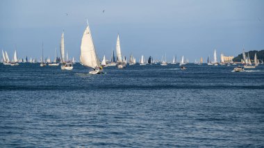 Trieste Uluslararası Regatta. Barcolana Gösterisi