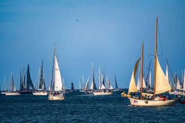 Trieste Uluslararası Regatta. Barcolana Gösterisi