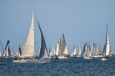 Trieste Uluslararası Regatta. Barcolana Gösterisi