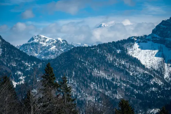 Stock image Scenic view of the mountains in Valbruna and Val Saisera at the end of winter.