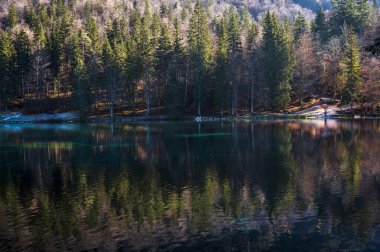 Morning in the Fusine lakes valley. Autumn  clipart