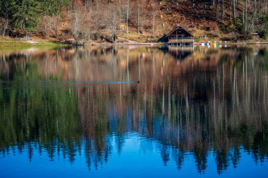 Morning in the Fusine lakes valley. Autumn  clipart