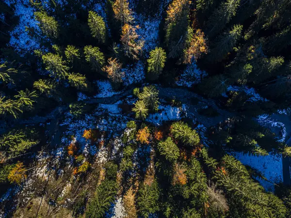 Cima Sappada Alp Geçidi 'nin hava aracı görüntüsü