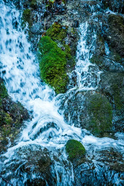 Fusine Göl Vadisi 'nde sabah. Sonbahar yansımaları. 