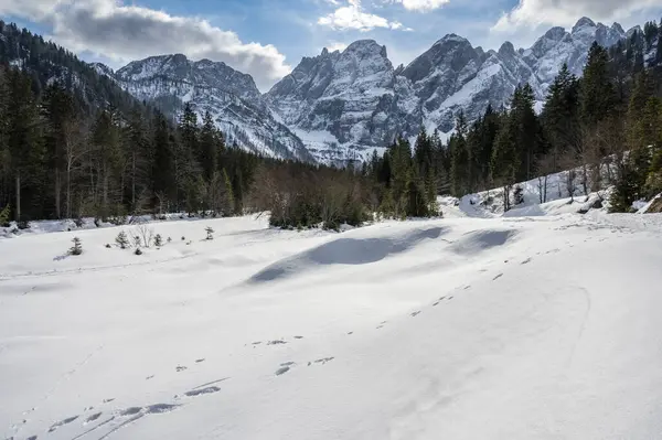 stock image beautiful winter landscape with mountains, nature 