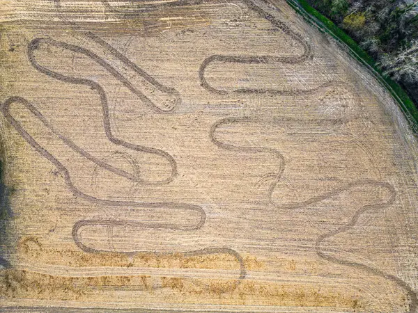 stock image Landscape of Tagliamento Flagogna, Italy 