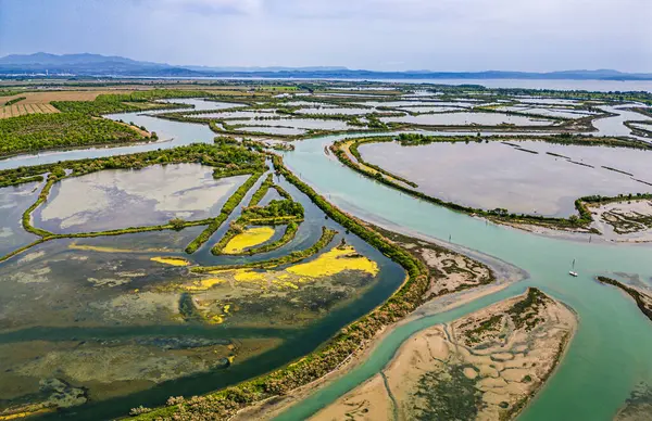 stock image The magic of the Grado lagoon. Nture