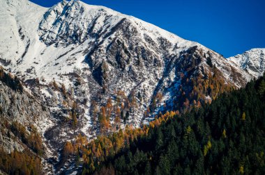 Hills ve Forni Avoltri manzarası, İtalya