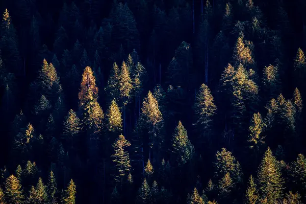 stock image Hills and Forni Avoltri landscape, Italy