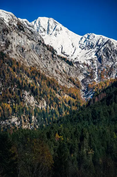 stock image Hills and Forni Avoltri landscape, Italy