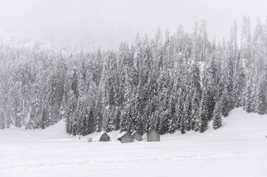 Kış dağlarında kır evleri olan güzel bir manzara. 