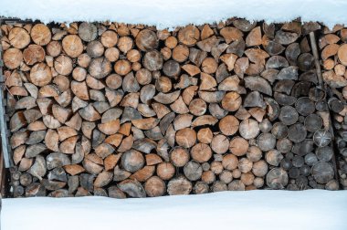 Ormanda kar üzerinde yakacak odun yığını