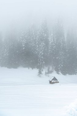 Kışın dağlarda ahşap kulübesi olan güzel bir manzara. 