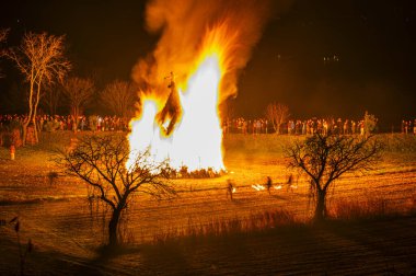 Friuli 'de eski bir Epiphany yangını geleneği. Yaban Domuzu 